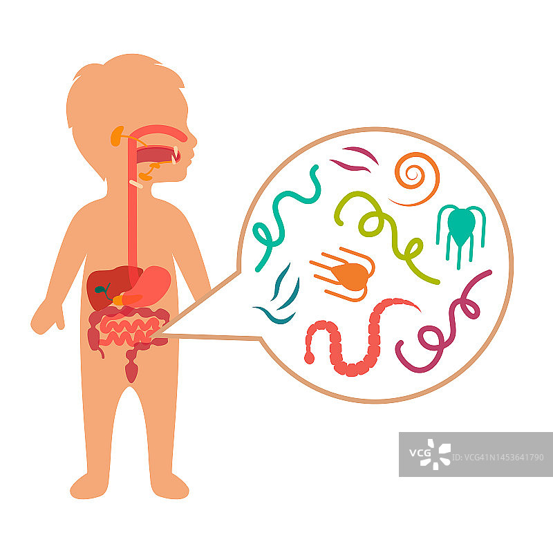 儿童肠道寄生虫，蠕虫疾病图片素材