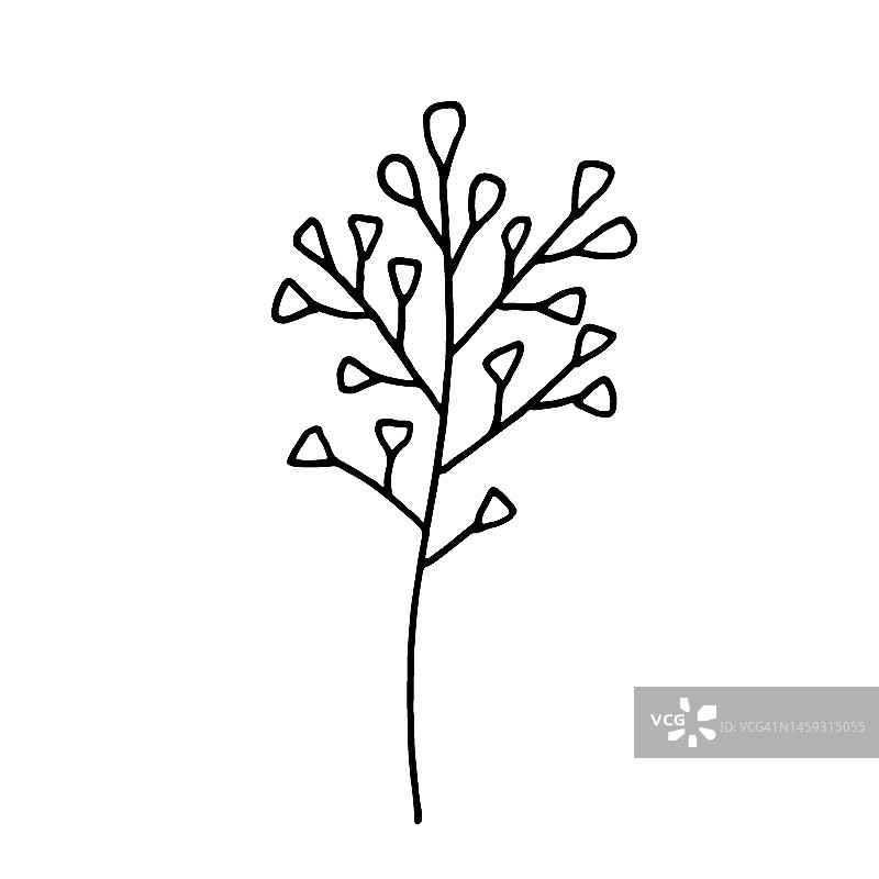 干燥的冬季树枝，花朵和浆果。黑白素描。手绘矢量插图。图片素材