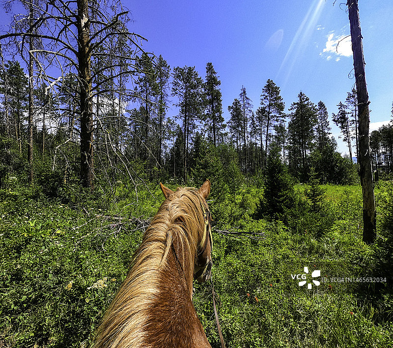 个人视角骑马穿越国家公园，风景优美图片素材