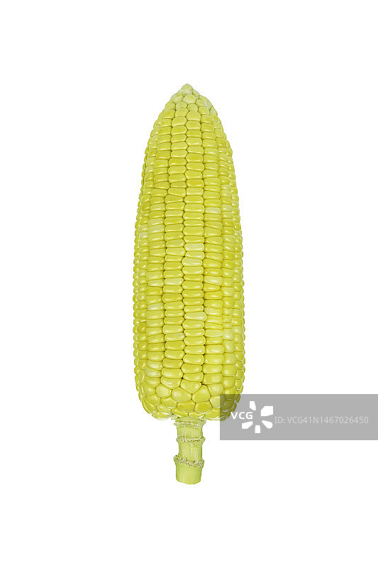 玉米孤立在白色背景与修剪路径。图片素材