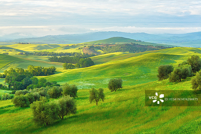 托斯卡纳的绿色山丘，瓦尔德奥尔西亚风景照片图片素材
