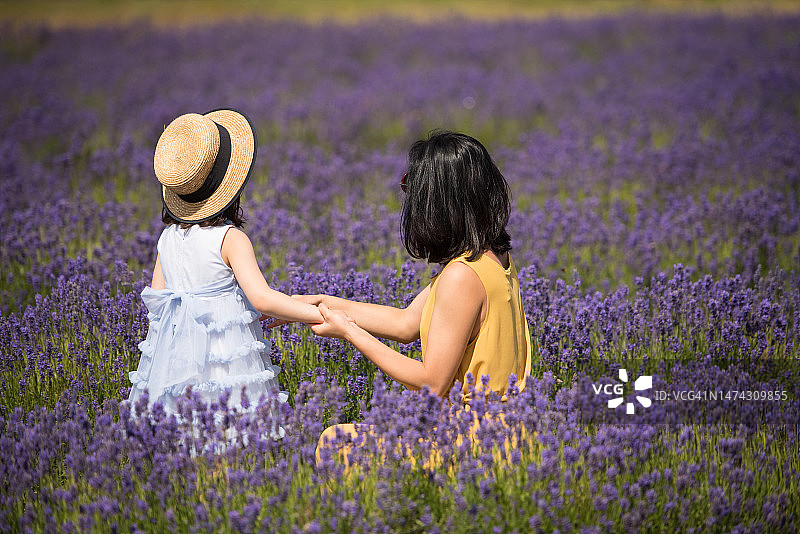 在英国苏格兰金罗斯，一个阳光明媚的夏日，一位年轻的亚洲母亲穿着黄色连身裙，抱着女儿坐在薰衣草地里图片素材