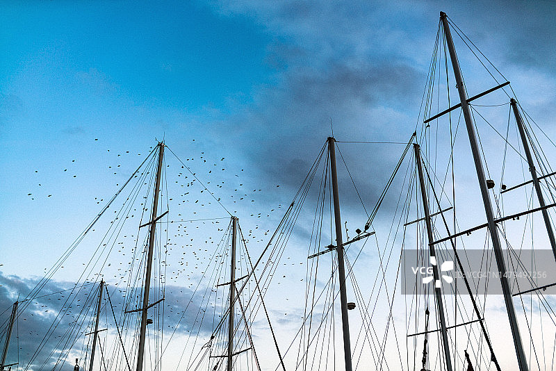 日落时游艇桅杆上有成群的鸟图片素材
