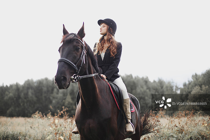 骑着一匹纯种马的女人图片素材