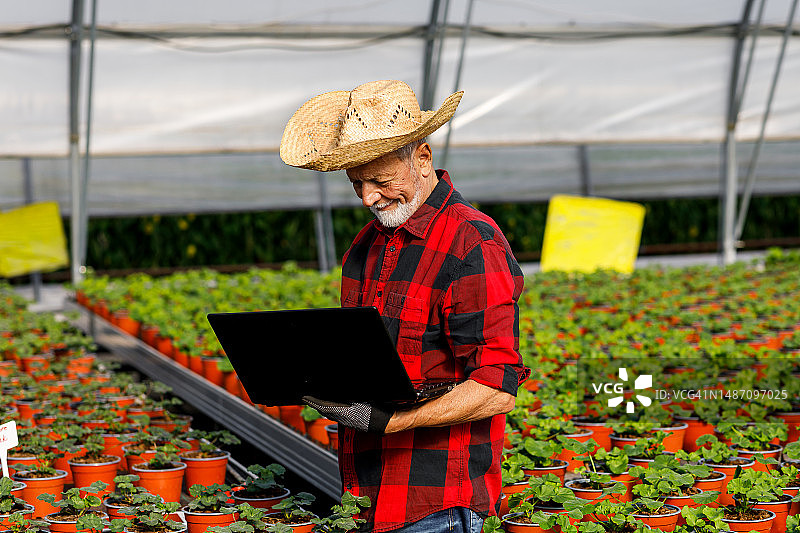 一位戴着草帽的老人正在用笔记本电脑检查鲜花的生长情况。图片素材