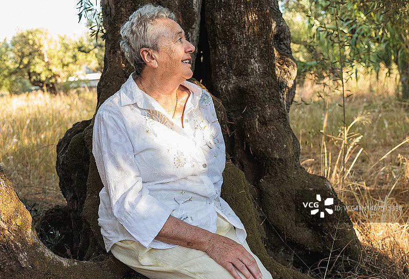 阳光明媚的日子里，快乐的老妇人坐在大橄榄树下放松。老妇人在橄榄林中享受。图片素材