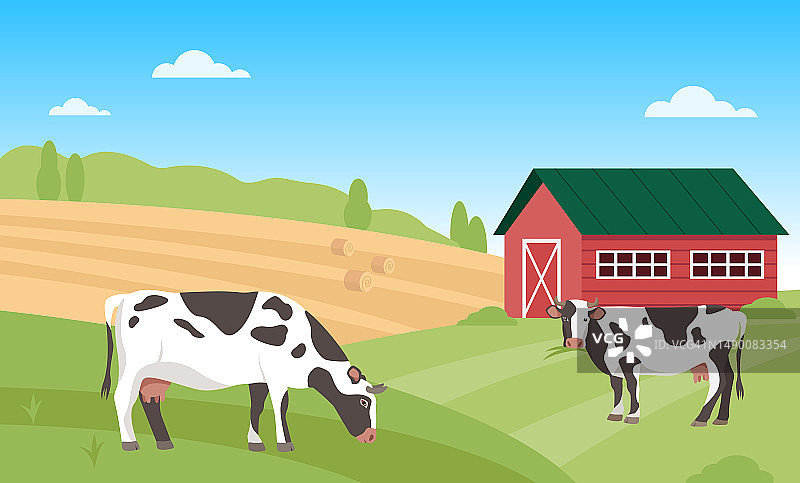 夏日的乡村风景和奶牛。农场在绿色的田野和蓝色的天空。乳制品养殖理念。图片素材