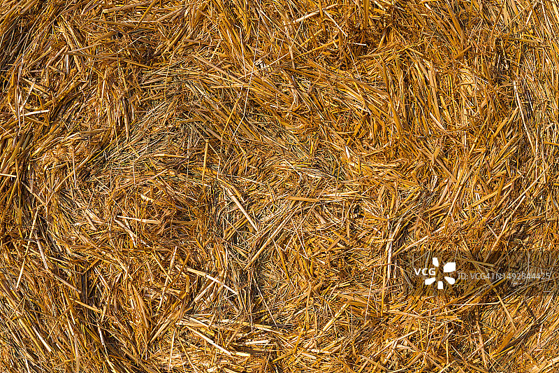 在蓝天的衬托下，一捆捆干草堆在田野上图片素材