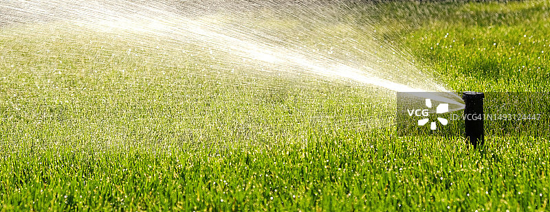 自动园林灌溉系统浇灌草坪。可调喷头灌溉系统节约用水。用于灌溉和维护草坪、园艺的自动设备。图片素材