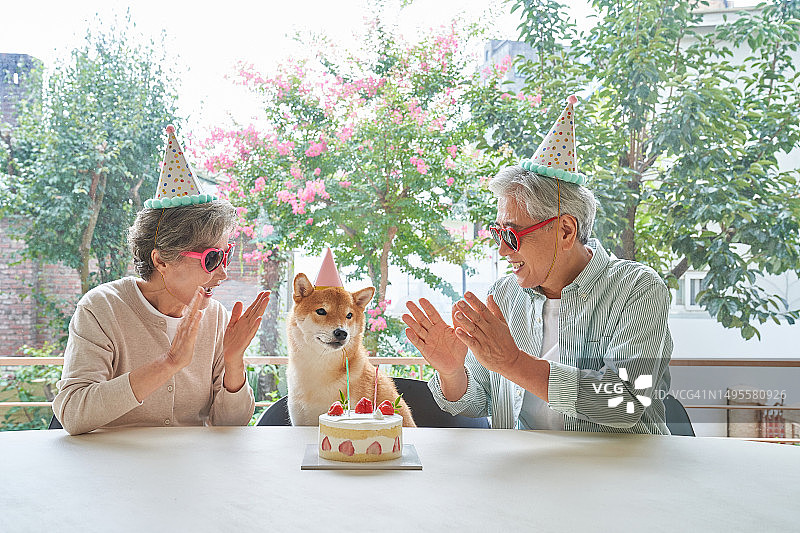 韩国，宠物，中年夫妇，中年夫妇，银色生活，银色生活方式，派对图片素材