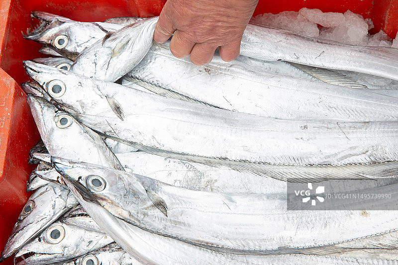 海鲜市场上的新鲜带鱼图片素材