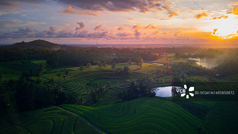 美丽的晨景印度尼西亚全景景观稻田与美丽的色彩和天空自然光图片素材