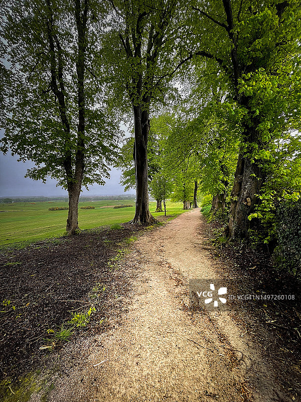爱尔兰戈尔韦郊外，一条小路蜿蜒穿过树木和绿色的乡村。图片素材