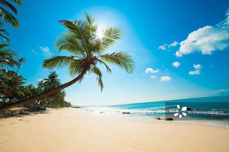 热带海滩图片素材