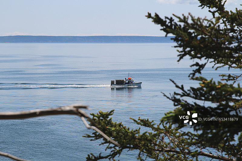 透过树木看到的一艘渔船在Quoddy海峡。Quoddy Head州立公园。图片素材