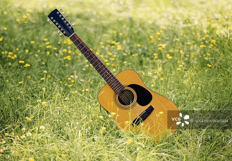 草地上的吉他图片素材
