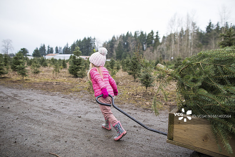 小女孩拉着圣诞树推车的后景图片素材