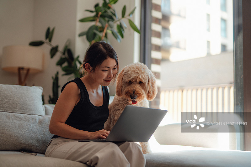 年轻的亚洲女人和她的狗在沙发上玩笔记本电脑图片素材