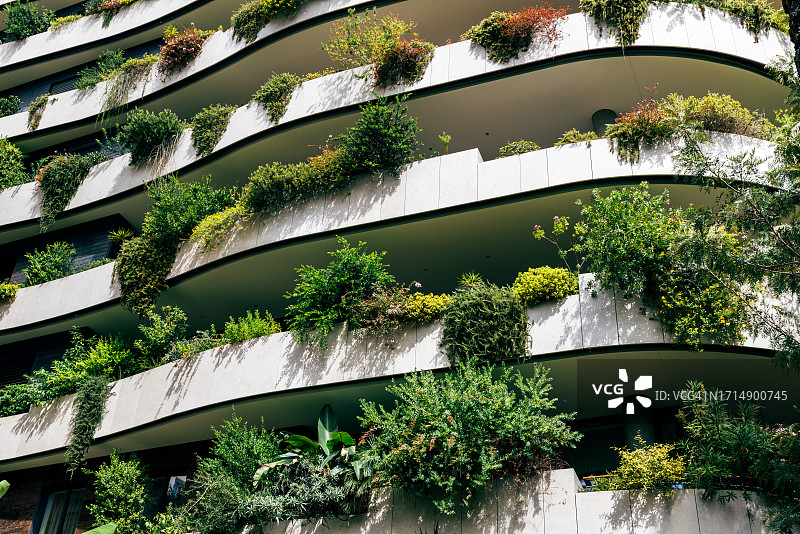摩纳哥蒙特卡洛，阳台上有植物的现代绿色建筑图片素材
