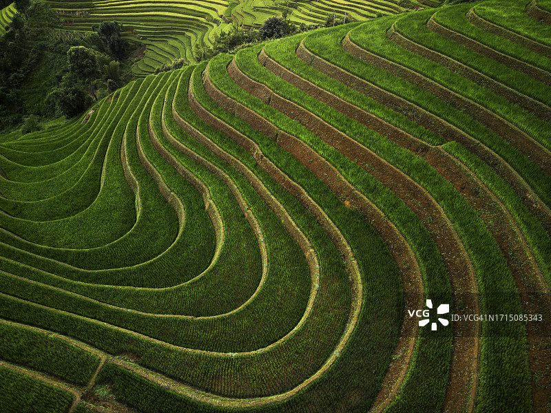 美丽的鸟瞰梯田绿色稻田在木仓柴，越南图片素材