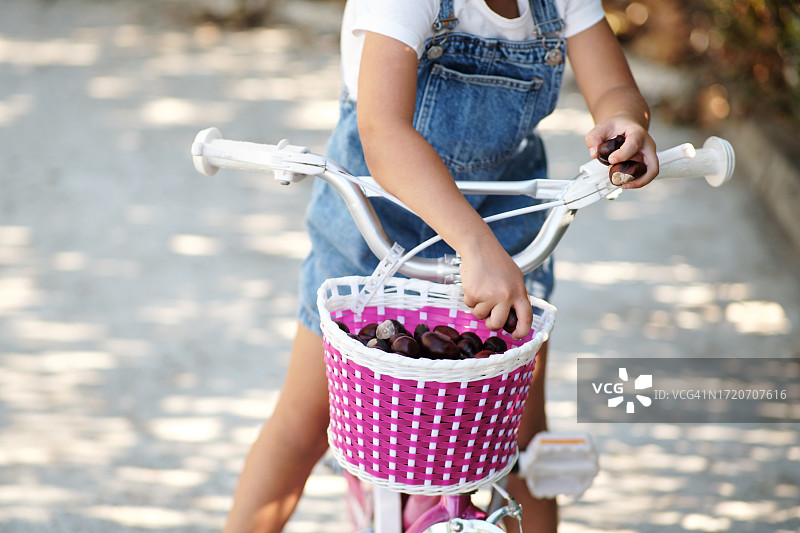 一个5岁的小女孩在自行车篮子里捡栗子图片素材