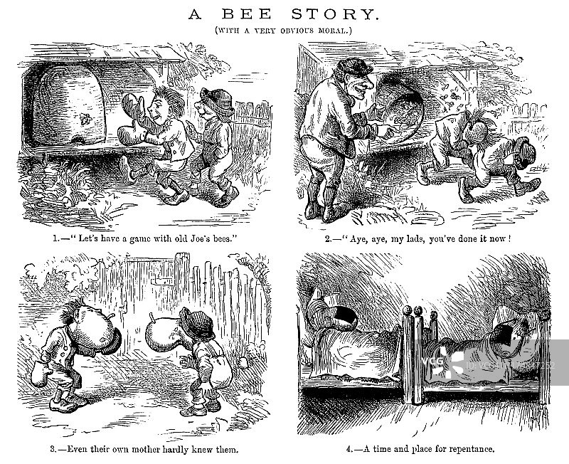 愚蠢的蜜蜂(维多利亚时代的雕刻)图片素材