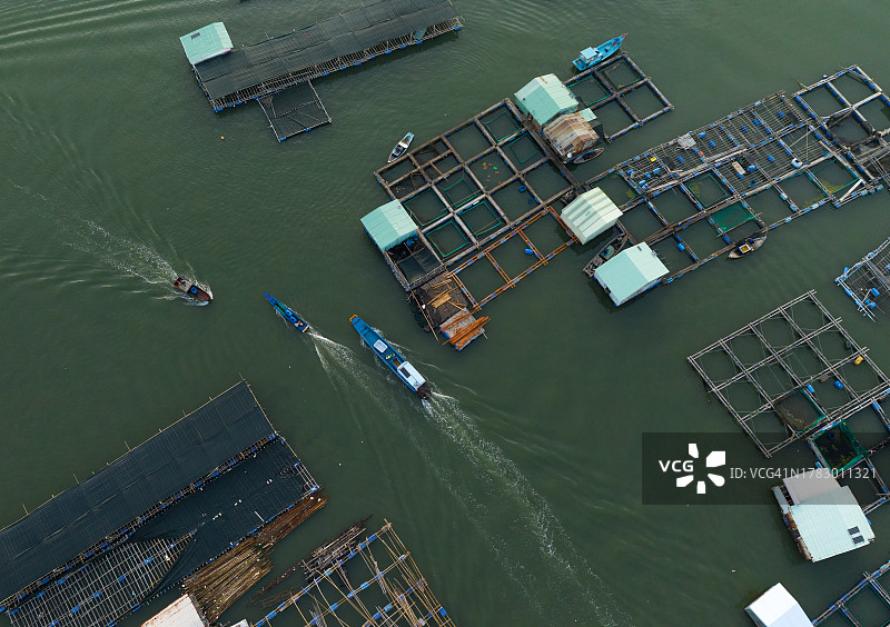 摘要航拍照片的浮筏牡蛎和海鲜养殖，龙山水产养殖筏村，巴里亚头省图片素材