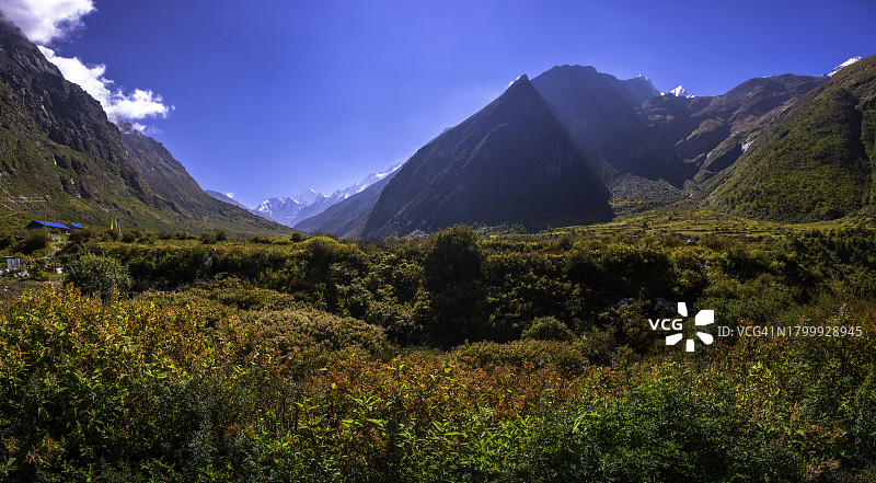 尼泊尔朗塘山谷全景。图片素材