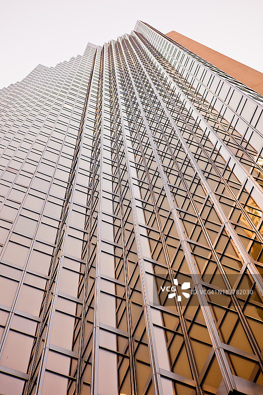 仰望多伦多的摩天大楼图片素材
