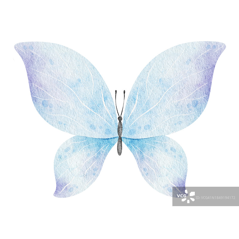 可爱的蓝蝴蝶。春天的动物。独立的水彩插图，用于儿童房间的装饰，包装和标签的设计，织物和衣服图片素材