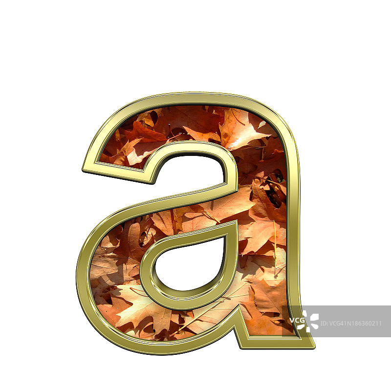 一个小写字母从秋季黄金字母表集图片素材