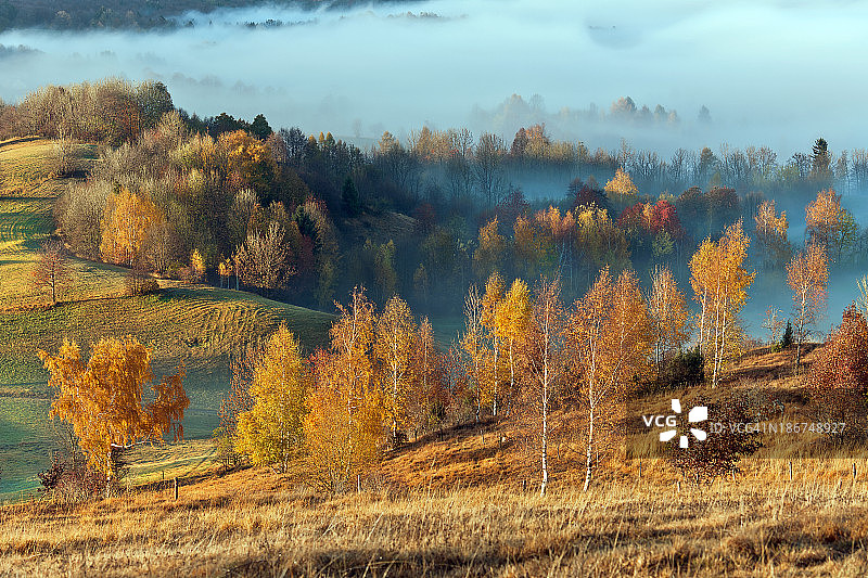 令人惊叹的秋季风景高原在朱利安阿尔卑斯图片素材