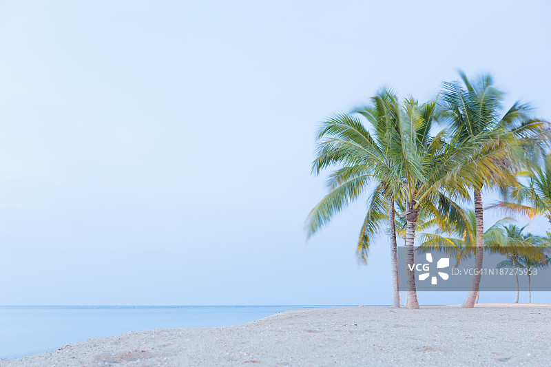 印度洋上有棕榈树的海滩图片素材