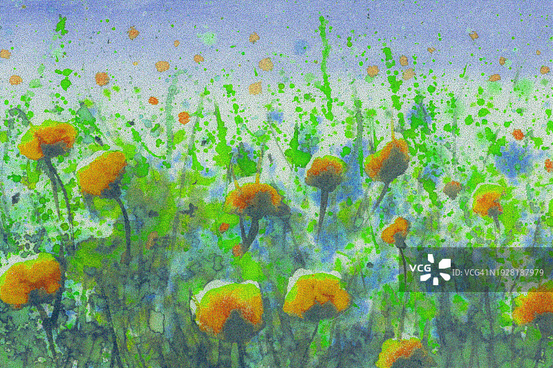 花卉绘画-水彩画图片素材