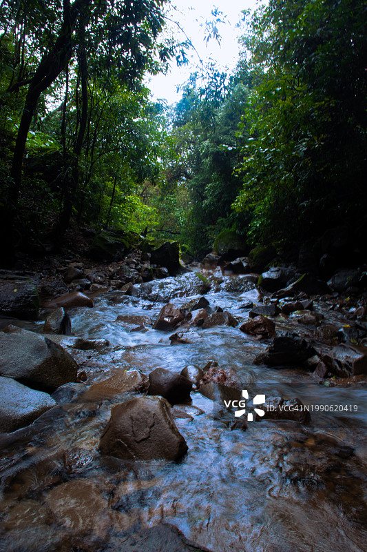 森林中溪流穿过岩石的风景图片素材
