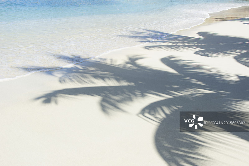 美国，美属维尔京群岛，圣约翰，白色沙滩上棕榈树的阴影图片素材