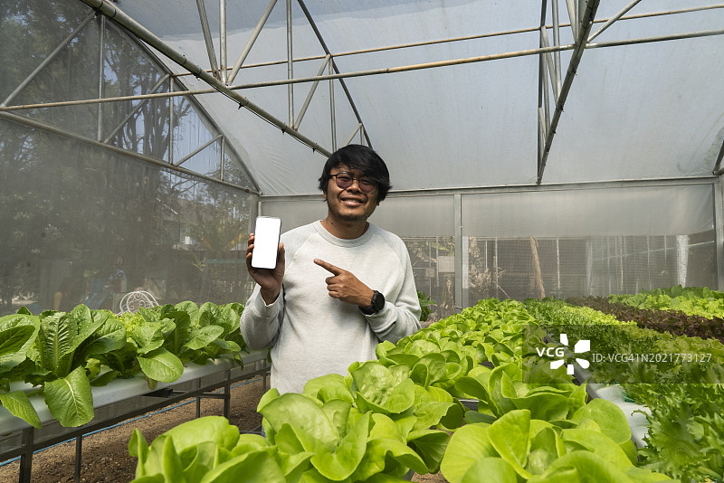 亚洲农民用手机控制智能农场和水培蔬菜种植图片素材