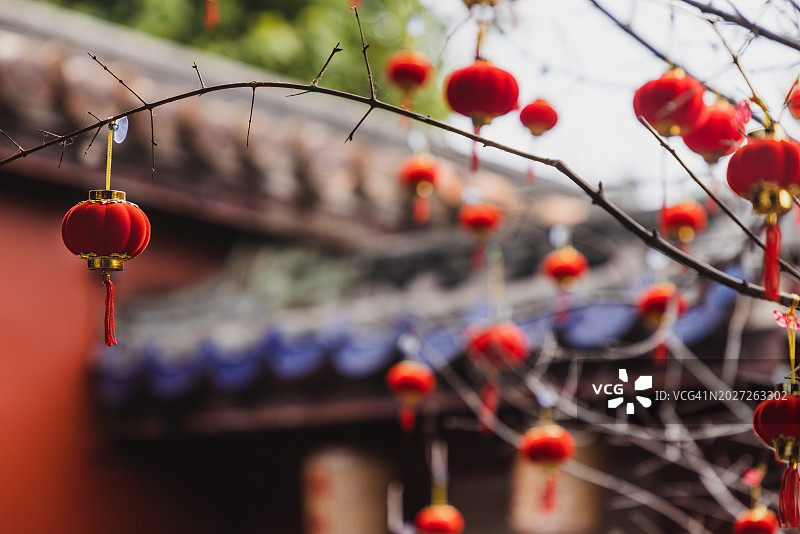 挂在树上的中国灯笼装饰图片素材