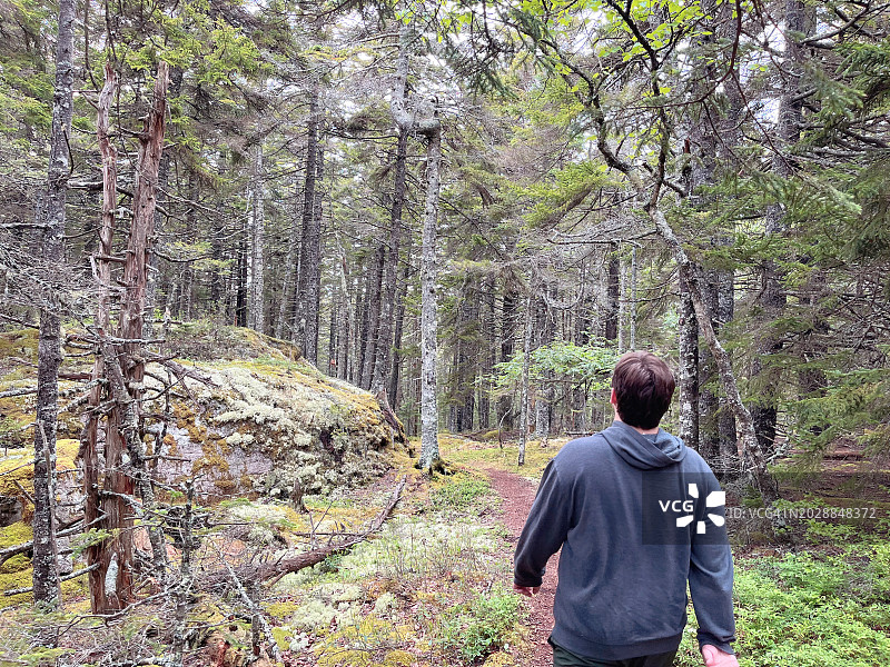 十几岁的男孩徒步穿越缅因州的树林。大瓦斯岛。图片素材
