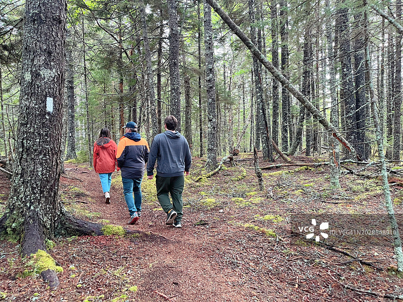 一家人徒步穿越缅因州的森林。大瓦斯岛。图片素材