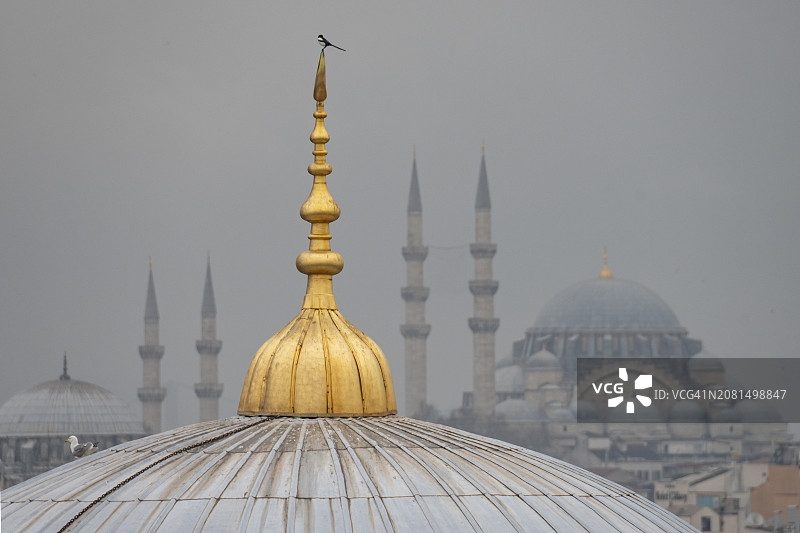 土耳其伊斯坦布尔的尖塔和圆顶图片素材