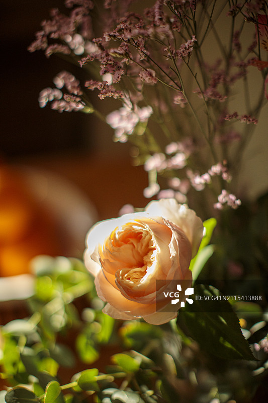 餐桌上的橘子和鲜花，阳光透过窗户照进来，光影的游戏图片素材