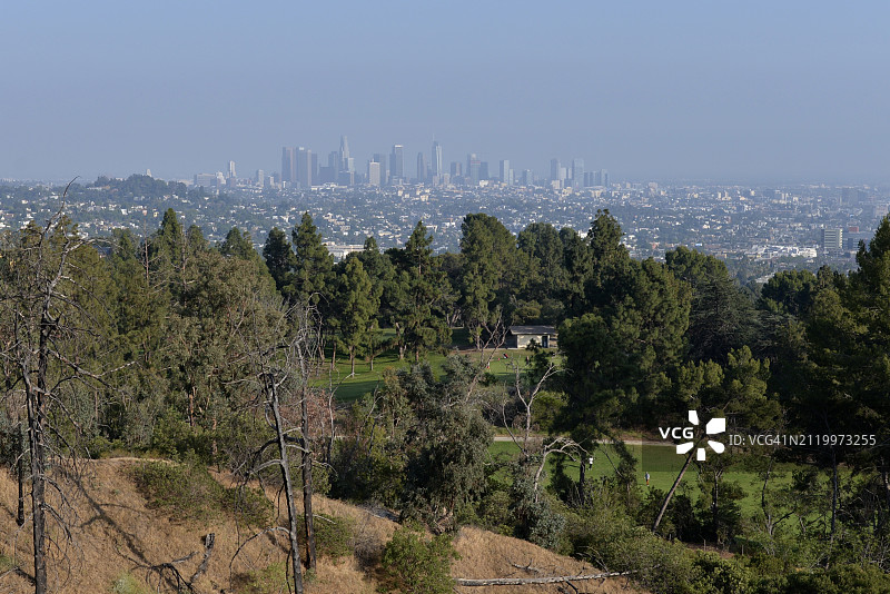 美国加州洛杉矶，树木和建筑物的高角度视角图片素材