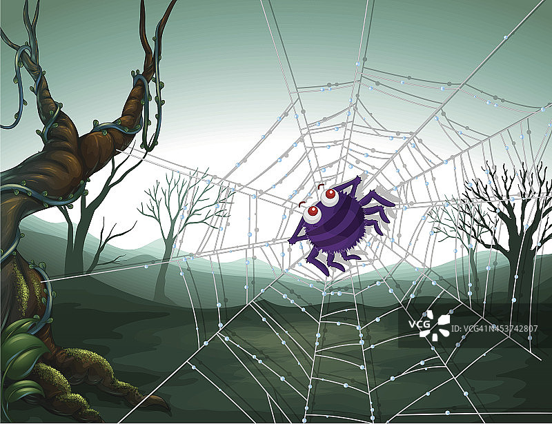 树林里的蜘蛛网图片素材