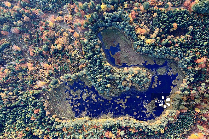 森林湖泊的航拍照片。秋天图片素材