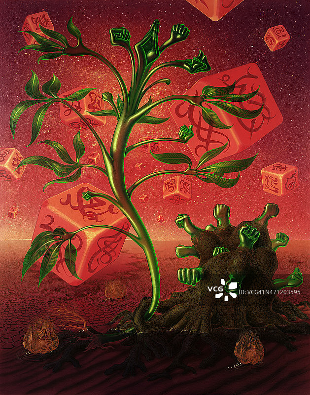 用骰子和植物的超现实图片图片素材