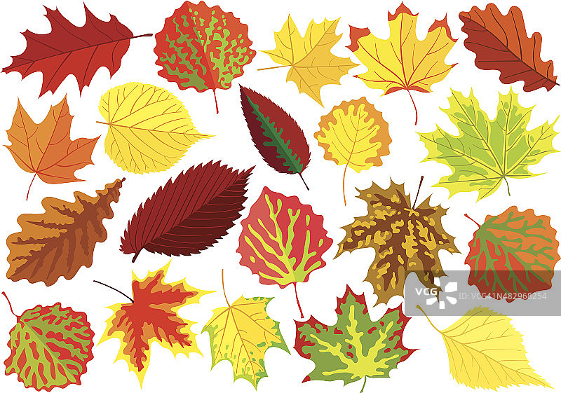 多彩的秋叶，矢量插图收藏图片素材