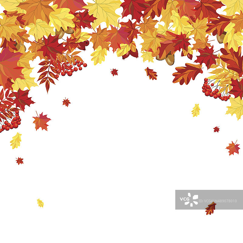 秋叶框架图片素材