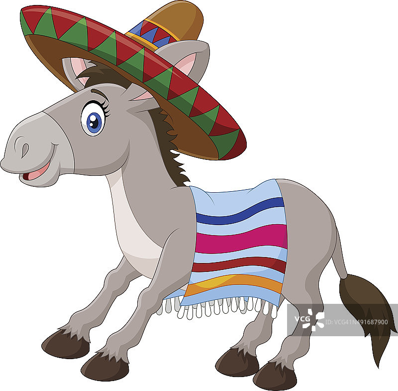 头戴宽边帽和彩色毯子的墨西哥驴图片素材