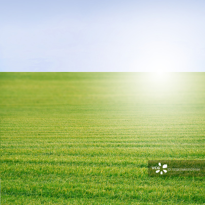 有机农场上和谐绿色草地的田园诗般的方形照片图片素材
